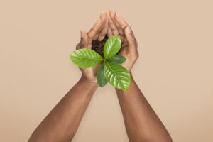 Read more about the article Conscious Travel: Explore, Experience, Preserve